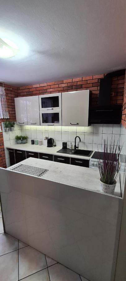 פוזנן Quiet Basement Apartment מראה חיצוני תמונה